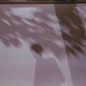 遇见你的时候所有星星都落到我头上