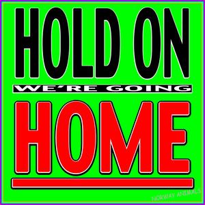 (This Is the Rhythm) Of the Night