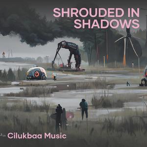 Shrouded in Shadows