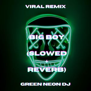 Big Boy (Tik Tok Slowed+Reverb) (Remix)