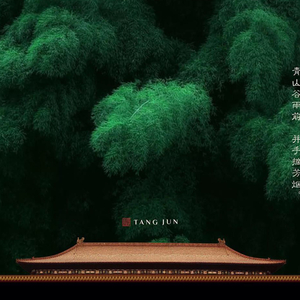 《山外小楼夜听雨》