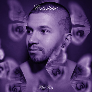 Crisálidas