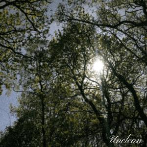 Unclean (demo)