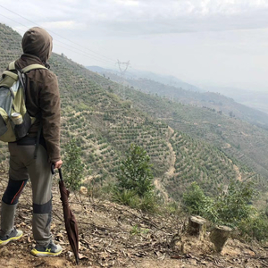 ZONA（时过境迁）