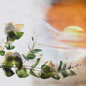 Interstate Conversations