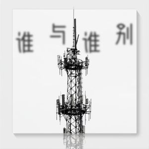 她说