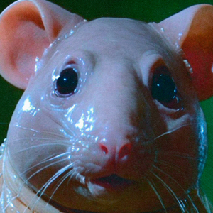 Come Track (Original Mix)