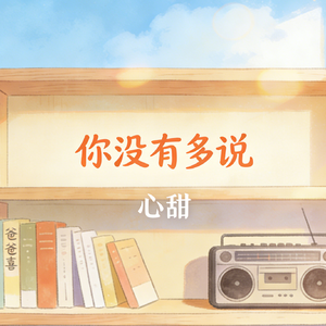 你没有多说