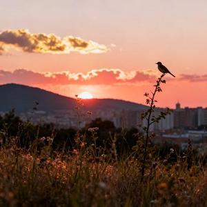 你最近好吗 (Cover 吕口口)