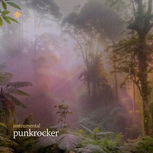 punkrocker (instrumental)