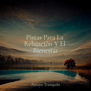 Despertar De La Mística