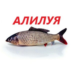 Алилуя