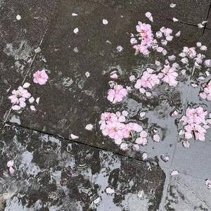 丁达尔的梦