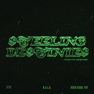 $teeling De$tinie$