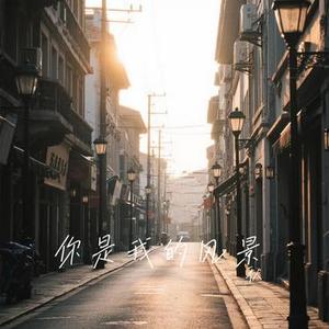 你是我的风景 (Cover 何洁)