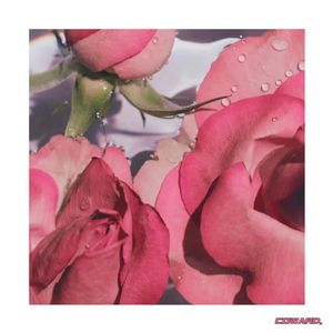 Tonight's Love Story（今晚的爱情故事）（PROD BY 金桔0RANG3）