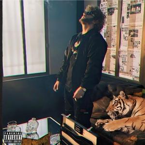 Exciting Feels (feat. Anomalien)