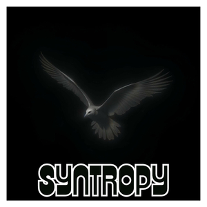 Harmony Therapy Calm Focus