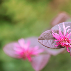 Rather Be骑马赶驴 (适合酒店大堂播放的安静纯音乐)