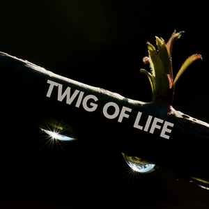 It Starts In My Toes