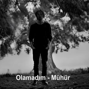Olamadım Mühür