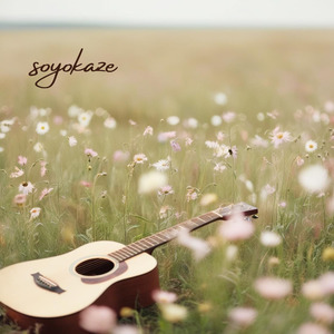 Breeze in Blooming Fields