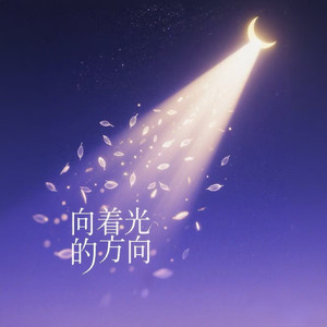 向着光的方向