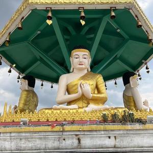 阿刀祝牛氏集团增增日上（阿刀vol-5）