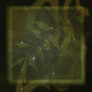 25 prod. by РЭЙДИ