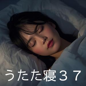 海鳥が運ぶ遠い海の匂い