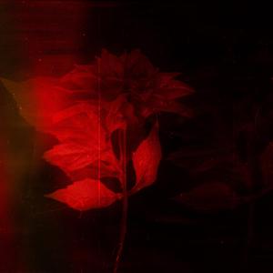 there is none of these