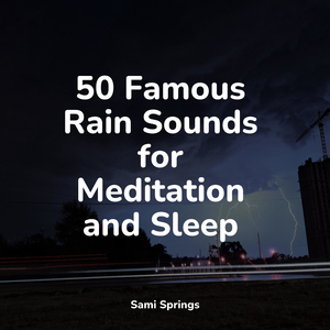 Avian Woodland Melodies