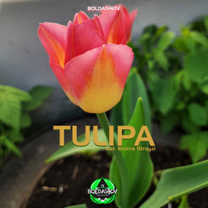 Tulipa (Original Mix)
