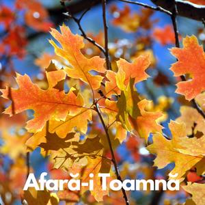 Afară-i Toamnă