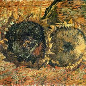 drown with me (demo)