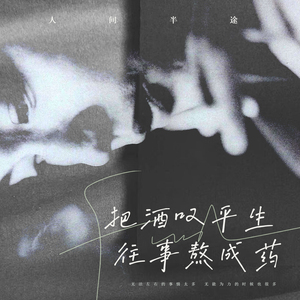 人间半途 (把酒叹平生 往事熬成药)