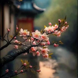 逃花惑（prod.by.CRAZY BEATZ)