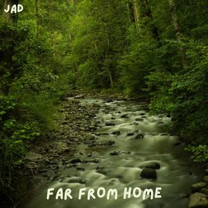 Far From Home