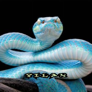 YILAN