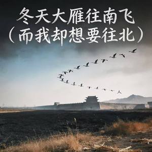冬天大雁往南飞(而我却想要往北)