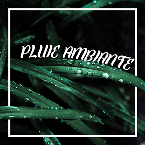 Ruisseau qui coule près de la forêt sous la pluie