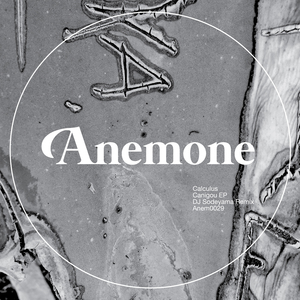 Canigou (DJ Sodeyama Remix)