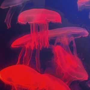 爱无痕 prod by HORECE