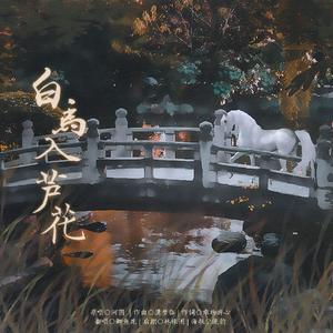 白马入芦花
