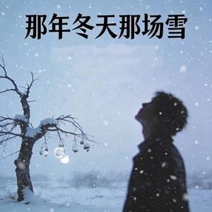那年冬天那场雪  (DJ版) (Cover 姜成万)