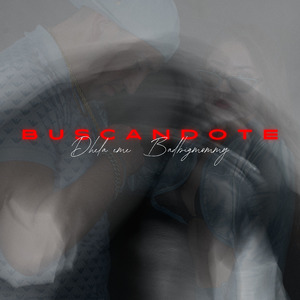 Buscandote