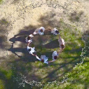 Will Not Let You Down