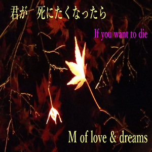 君が 死にたくなったら