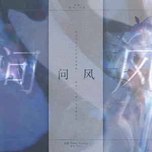 问风