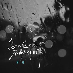 怎么这大雨不停不停的下